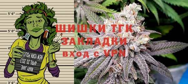 крисы Новодвинск