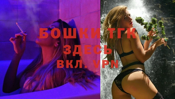 индика Алексеевка