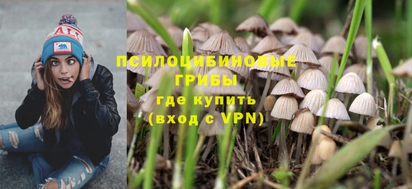 индика Алексеевка