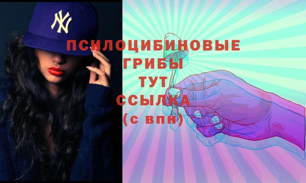 индика Алексеевка